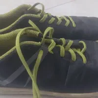 کفش ورزشی سالن|کیف، کفش، کمربند|دماوند, گیلاوند|دیوار