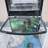 آکواریوم شیشه خم