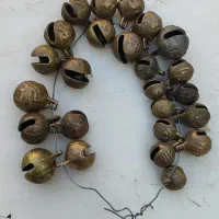 زنگلوله یا قور سگ