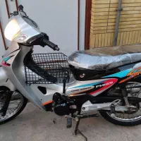 موتور بیکلاج طرح ویو مدل۹۱ مدارکدار