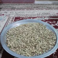 باقله دزفولی بزری شاخ بزی ۷ بند|خوردنی و آشامیدنی|بروجرد, |دیوار