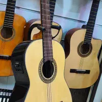 گیتار کارولی پیکاپ خور