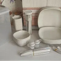 ظروف مسافرتی ۱۲ نفره وانیلی