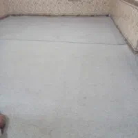 پالاز موکت|موکت|شوش, |دیوار