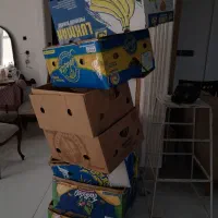 کارتون موز
