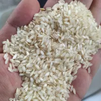گران نخرید ،عنبربو و کامفیروز  قیمت جهاد کشاورزی|خوردنی و آشامیدنی|اصفهان, لنبان|دیوار