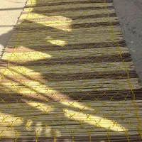 نی چیت فروشی