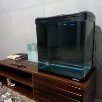 آکواریوم شرکتی دارایه تصویه آب چراغ ماهیران ۳۰لیتر