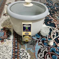 پلوپز برقی ۱۲نفر