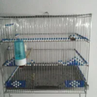 قفس سهره سایز ۴