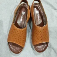 صندل طبی|کیف، کفش، کمربند|بندر انزلی, جهانگانی|دیوار