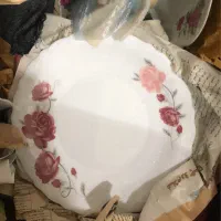 ارکوپال پارس اوپال