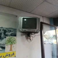 تلویزیون 14 با پایه دیوارکوب