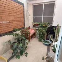 169متر-تک-واحدی-پاسیو-دار-والفجر