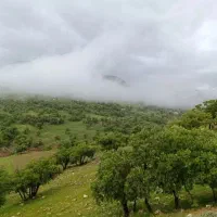 طبیعت گردی