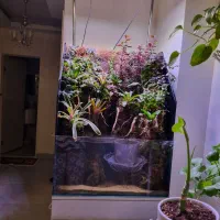 آکواریم خالی با تمام تجهیزات