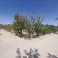 فروش زمین باغ ویلا