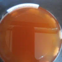 سرکه انگور خانگی