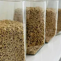 دان پارس گوشتی تخمگذار