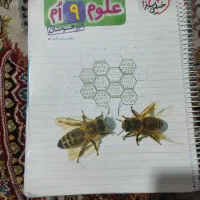 خیلی سبز علوم ۹ام تیزهوشان