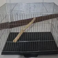 قفس پرنده