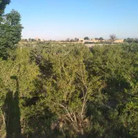 باغ-همراه-با-اتاق