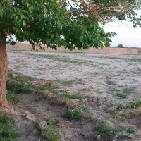 زمین-کشاورزی-اطراف-پیشوا