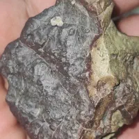 سنگهای کویر زیبا|جواهرات|زاهدان, |دیوار