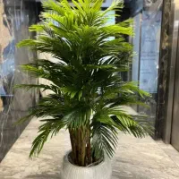 آلو کازیا درخچه|گل مصنوعی|تهران, مشیریه|دیوار