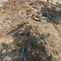 کود گوسفندی کهنه خالص ۳ ساله لب جاده باغ