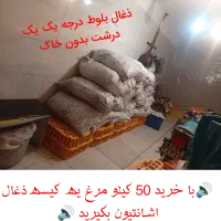 فروش عمده و تکی|فعالیت داوطلبانه|نورآباد, |دیوار