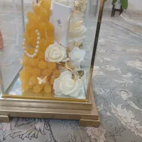 باکس شاخه نبات