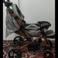 کالسکه درکنگان وعسلویه