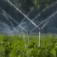 فروش زمین کشاورزی آبی ( چاه عمیق )