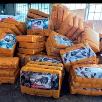 کالای خواب ارزانکده پدیده دهلران