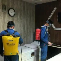 سمپاشی/موریانه زدایی/سم پاشی ساس مار عقرب با ضمانت