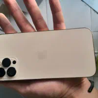 اپل iPhone 12 Pro Max پک اصلی