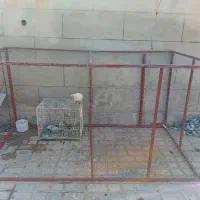 قفس فروشی