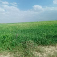 یه-هکتار-با-8ساعت-اب-درهفته-بفروش-میرسد
