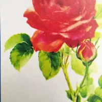 سفره رومیزی خارجی|سفره، حوله، دستمال آشپزخانه|تهران, امیریه|دیوار