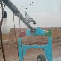 بچه لنج یکدار