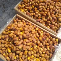 فروش خرماهای جنوب کرمان وضایعات خرما