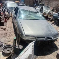 زانتیا تصادفی