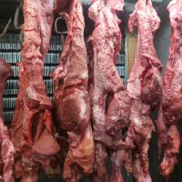 گوشت تازه سرصورت گوساله مصرف خانوار و شله