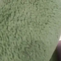 یک عدد چادر تیبا وپراید بفروش می رسد