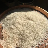 برنج هاشمی محلی درجه یک|خوردنی و آشامیدنی|تهران, نیلوفر|دیوار