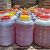 پخش عسل عمده