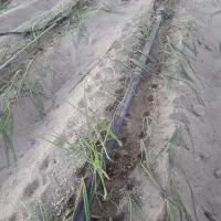 آبیاری تحت فشار جوش پلی اتیلن قیمت مناسب