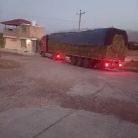 فروش یونجه