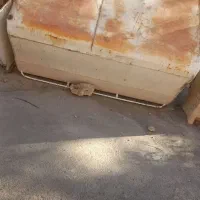 باربند وانت مستقف